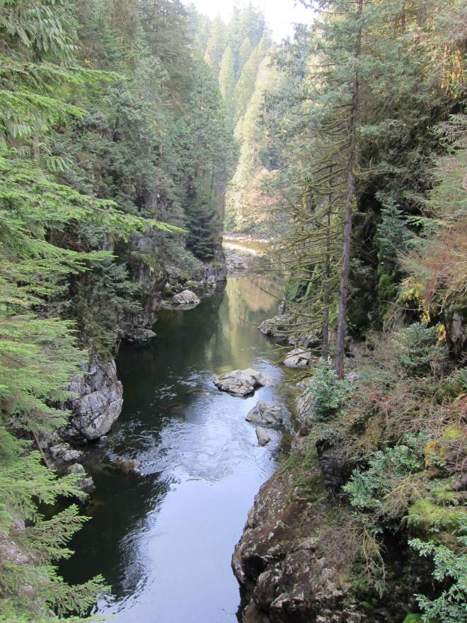 11090925_10152953010274748_741714139476337600_o